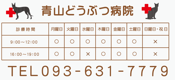 診療時間