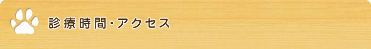 診療時間・アクセス