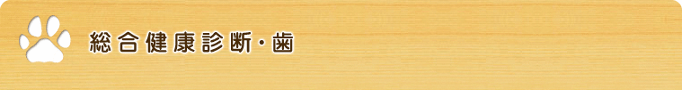 総合健康診断・歯