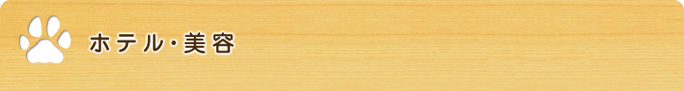 ホテル・美容