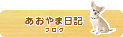 あおやま日記